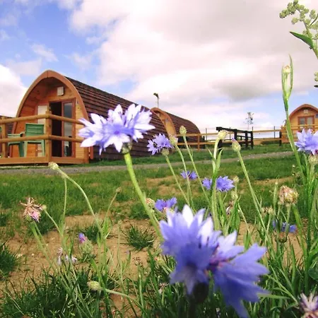 Ardmore Glamping Pods Lodge *
